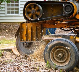 Stump Grinding