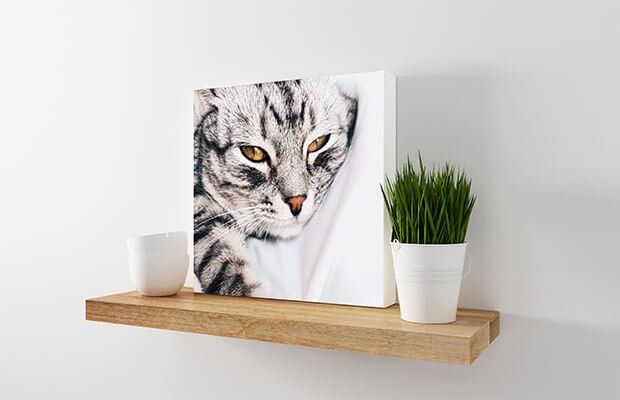 Canvas Printing