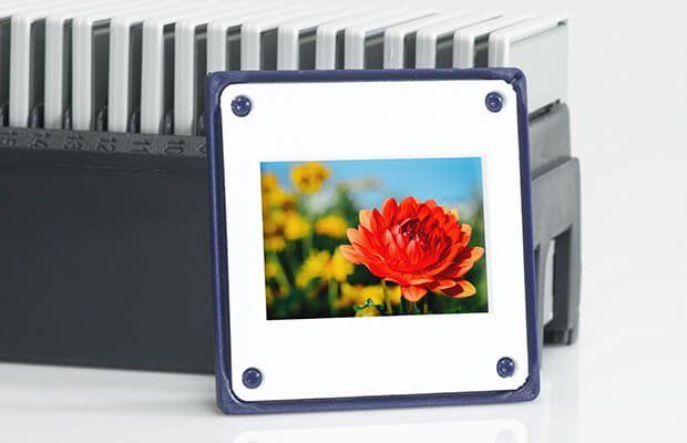 Print & Slide Scanning