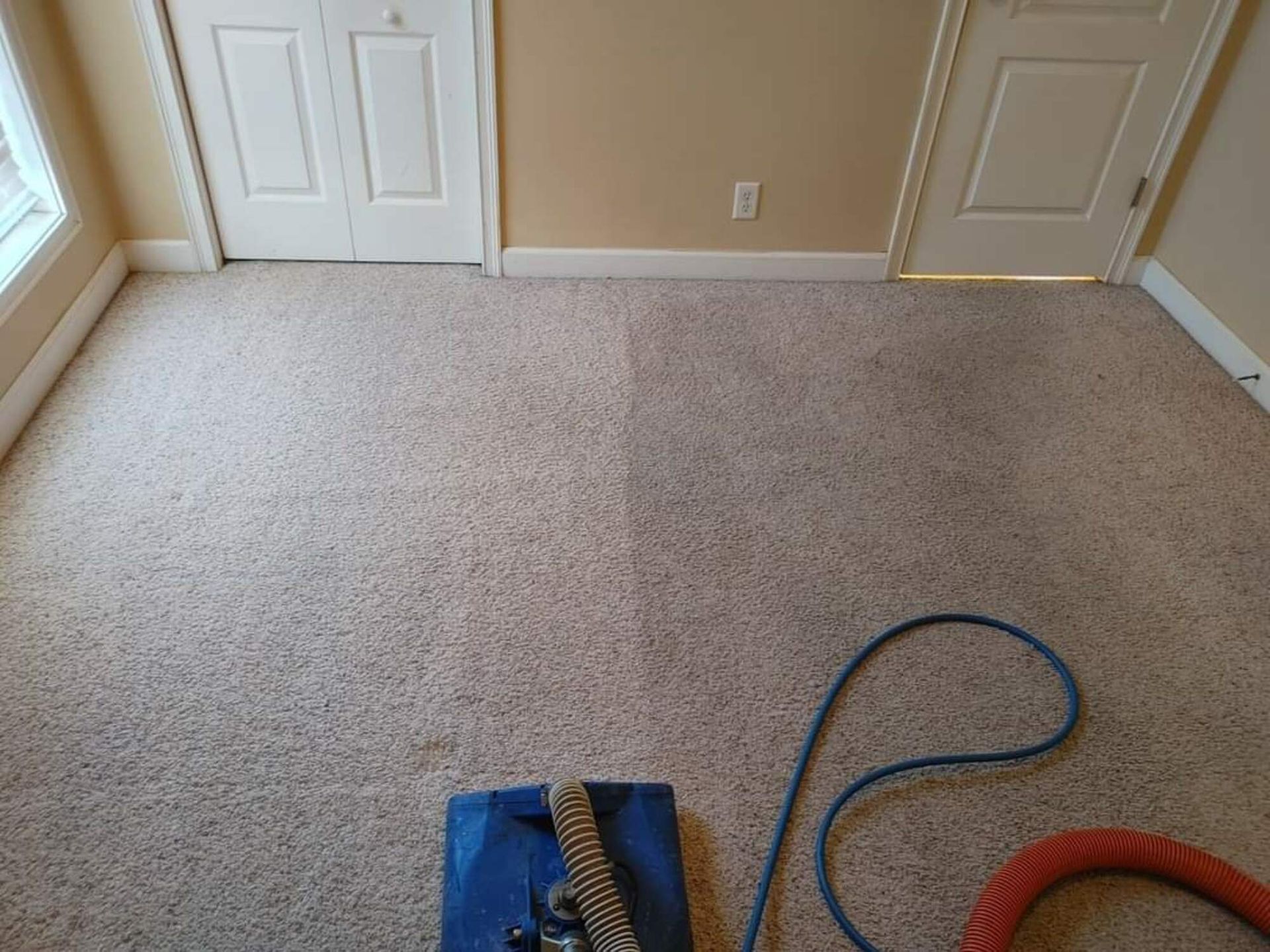 Expert Carpet Cleaning Services in Kingsland