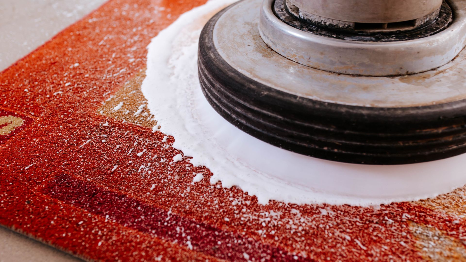 Expert Carpet Cleaning Services in Kingsland