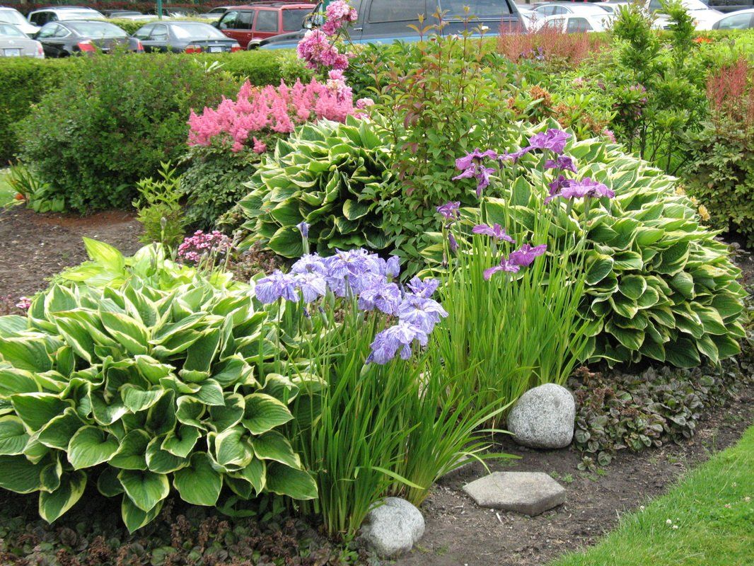flowerbed installation