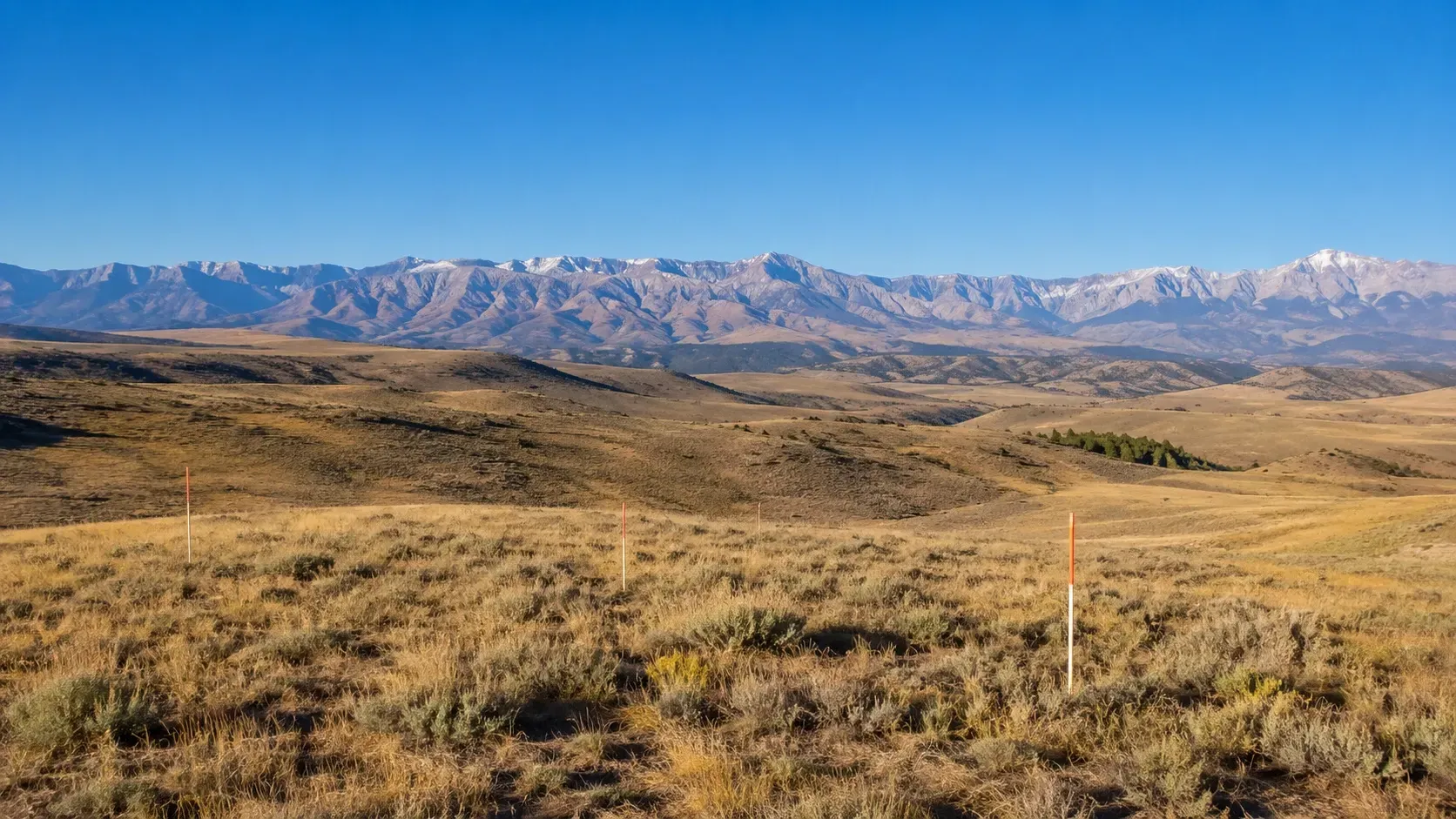 Raw Wyoming land with survey stakes marking a future building site and Bighorn Mountain views.
