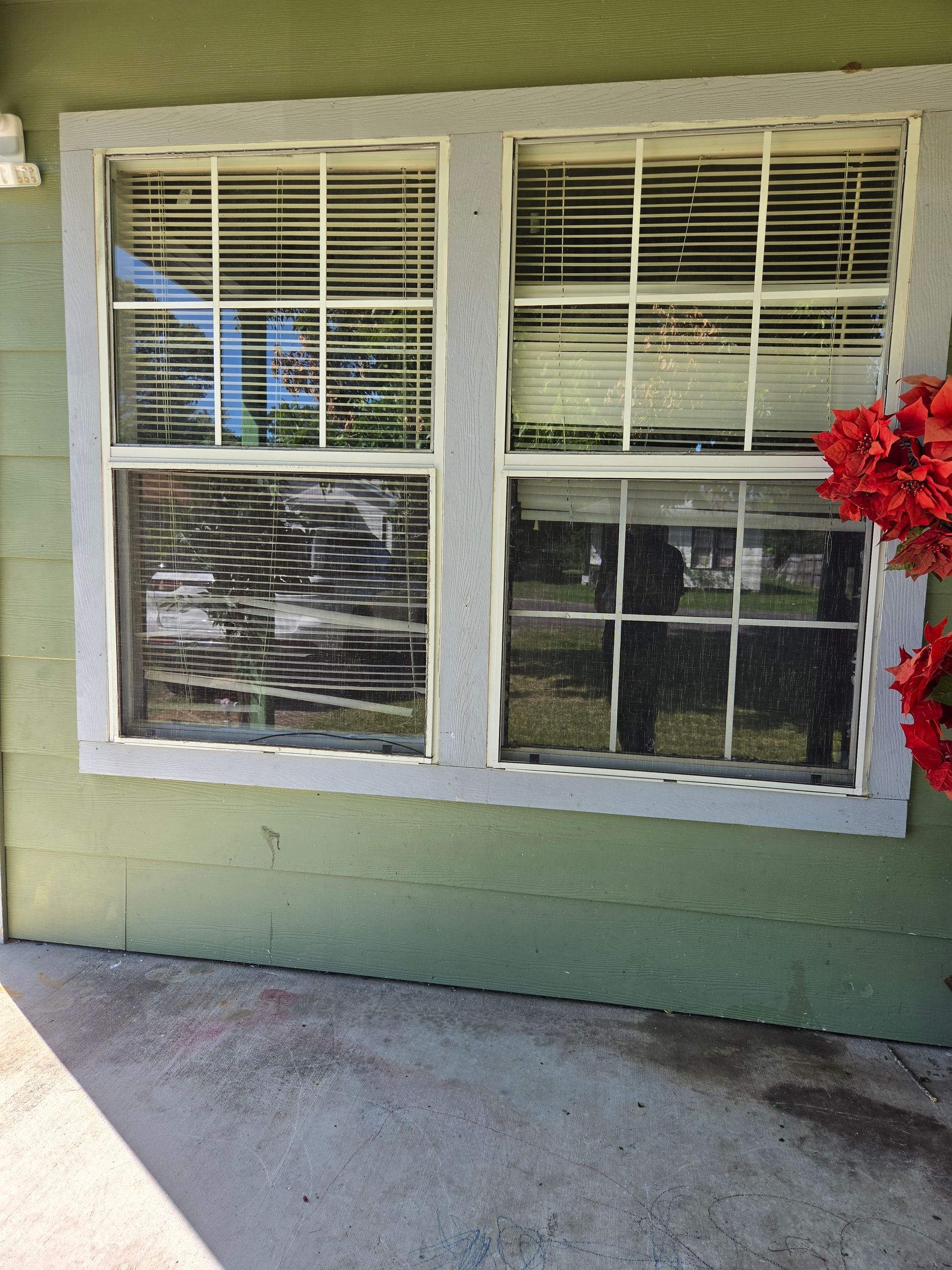 Two white-framed windows on a pale green wall beside a concrete walkway and red flowers