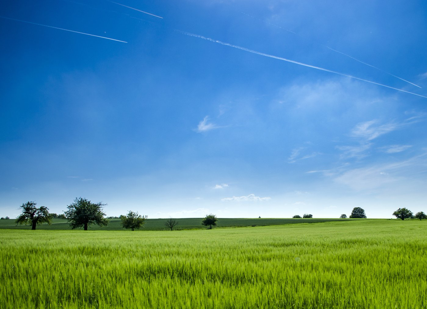 Fields