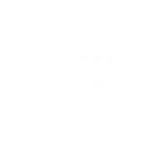 DRAGONS CONSTRUCTION