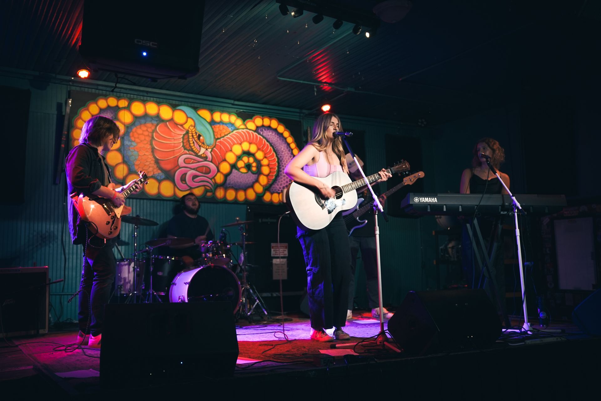 A band performs at a live concert.