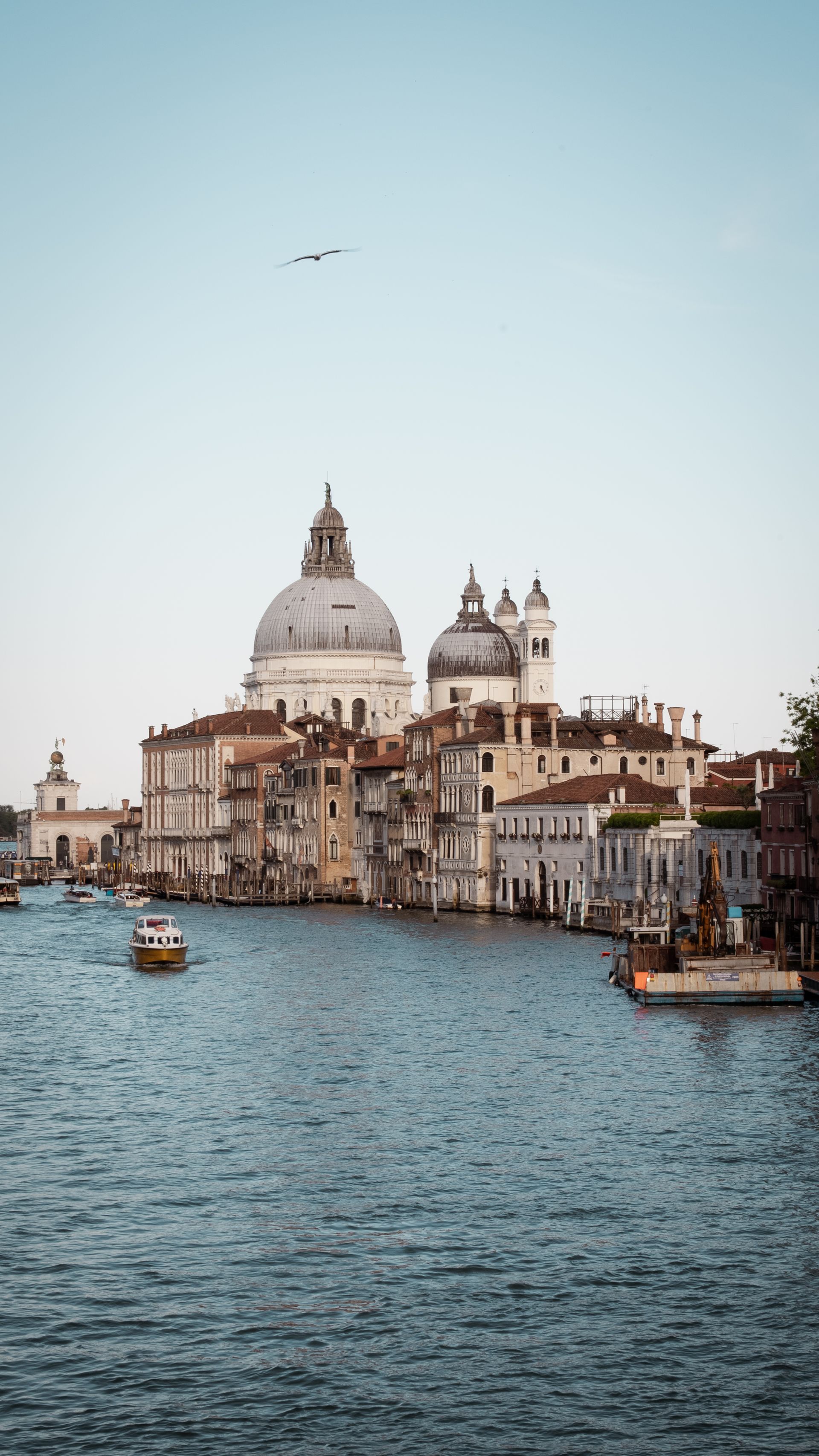 Venice skyline with a boat in the water and a bird flying overhead.