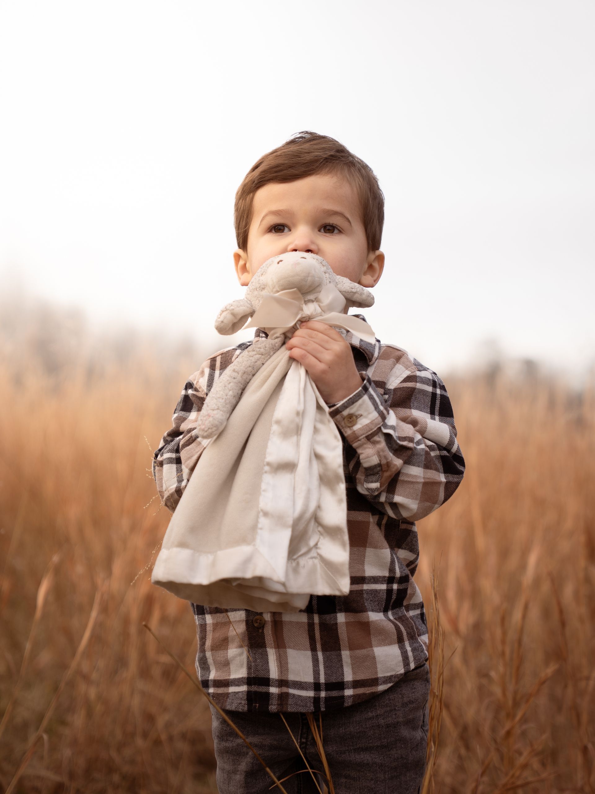 A young child holding a stuffed animal blanket in a field at sunset.