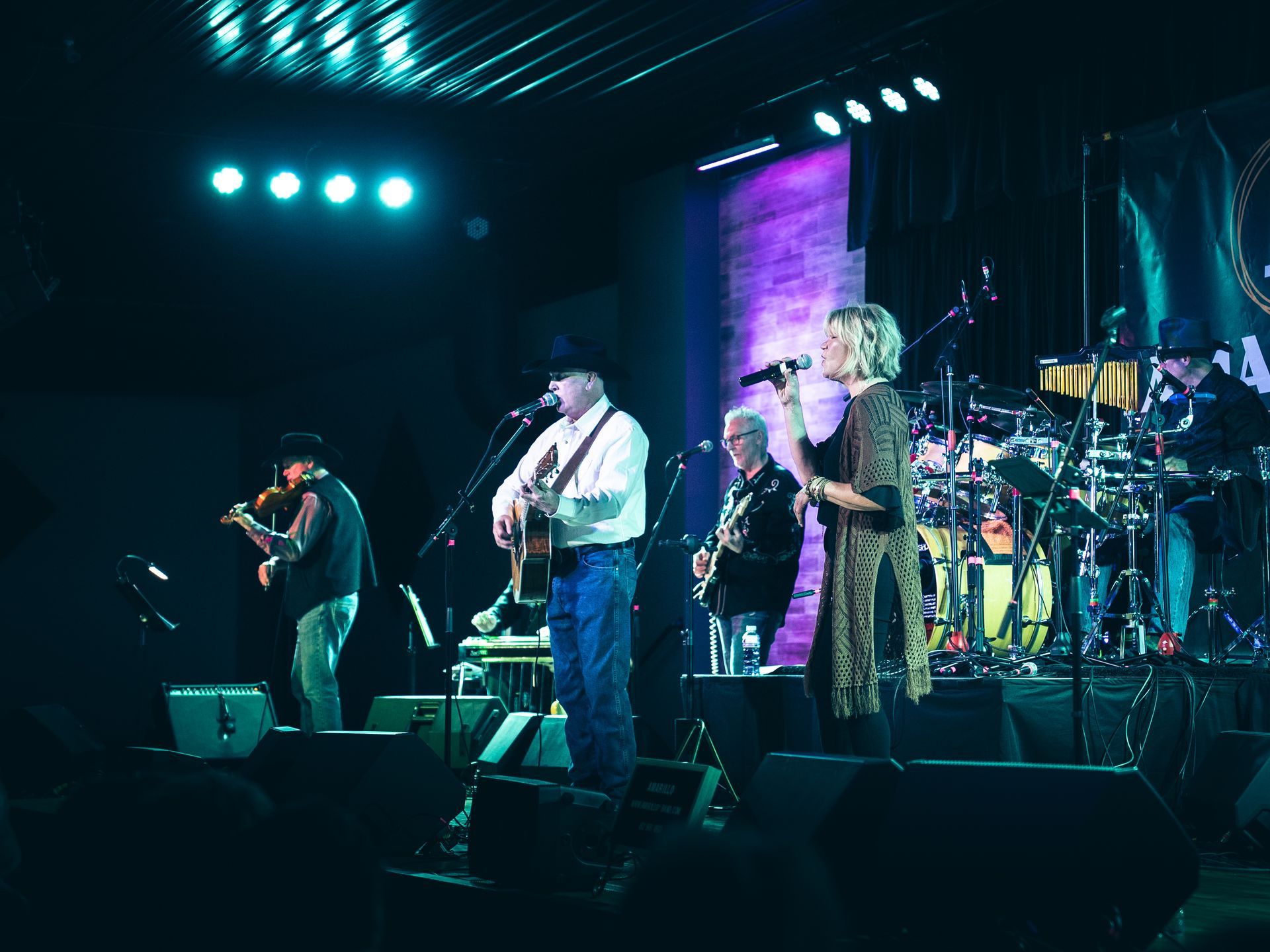 A large band performs at a live concert.