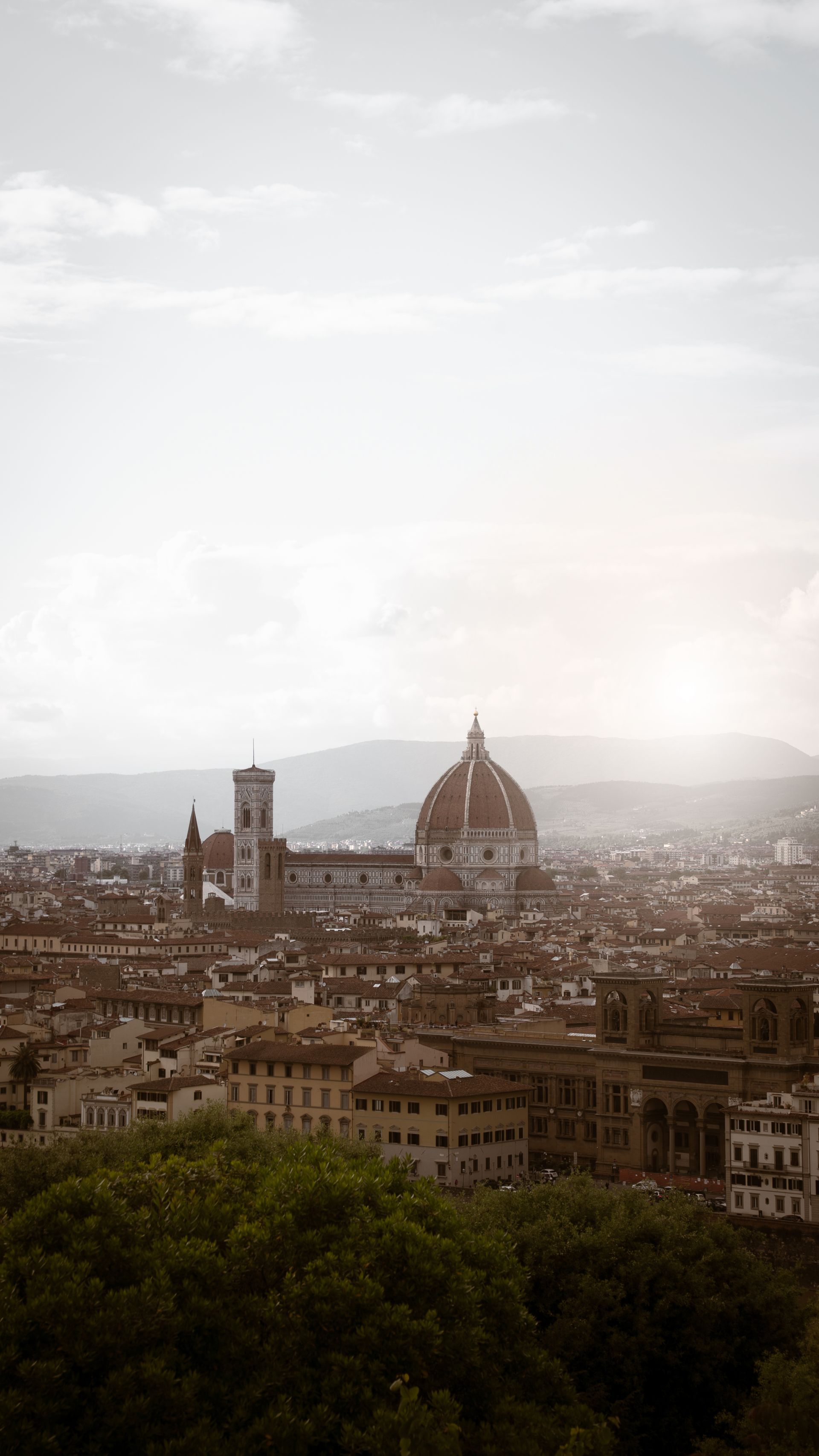 FLORENCE SKYLINE