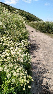 The south west coast path starting in Westward Ho! is a spectacular journey along North Devon's rugged coastline. The walk begins here