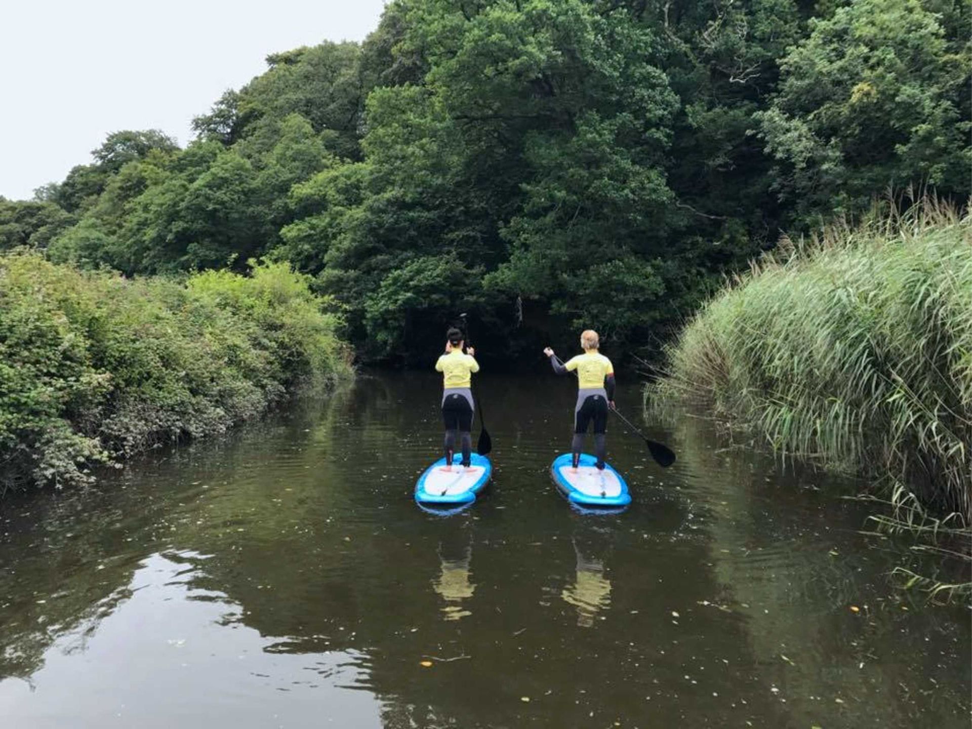 Beautiful scenery on the stand up paddleboard tours upon the Torridge Estuary. Plenty of wildlife to see and wonderful scenery.