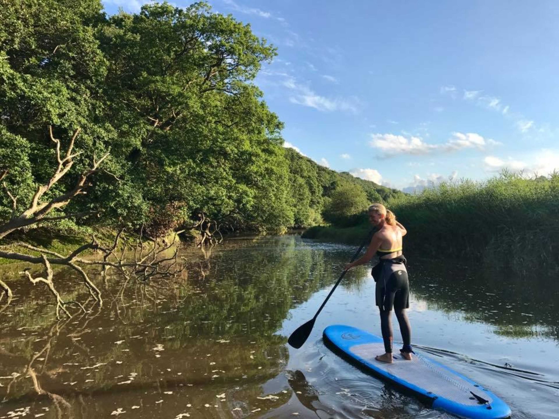 Paddleboarding on the Torridge Estuary is beautiful, you will see a varied range of nature. Flat calm water makes it easy to learn with plenty to see.