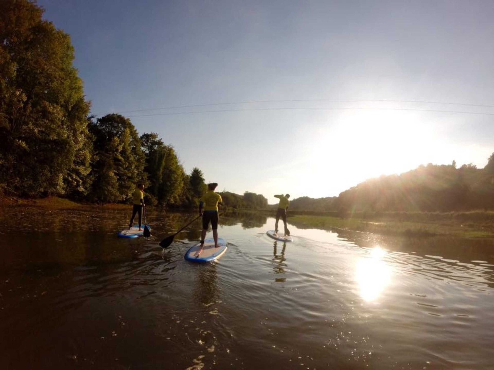 The Torridge Estuary is warmer than the sea, flatter and has more wildlife. This makes it perfect for stand up paddleboard tours. Join SurfSUP academy and make memories with them.
