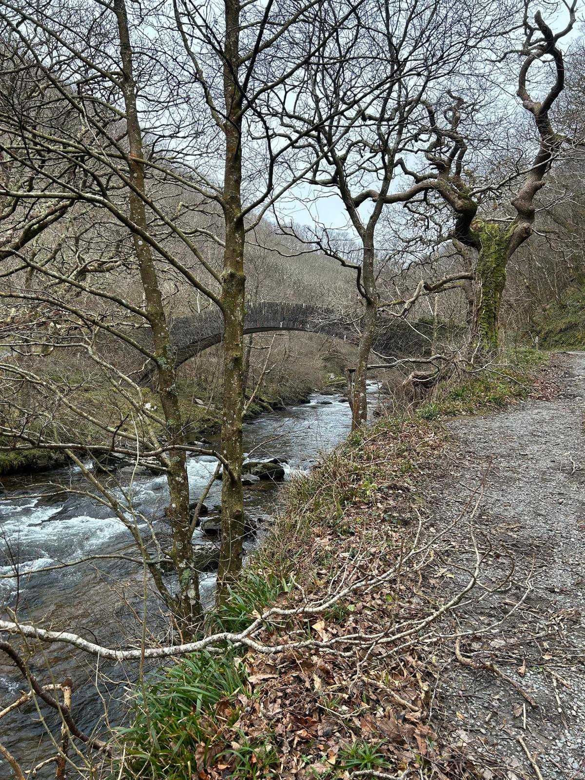 Several bridges cross the river giving access to both river banks, this helps creating a circular walk that is ever changing. The East Lynn river is just stunning.
