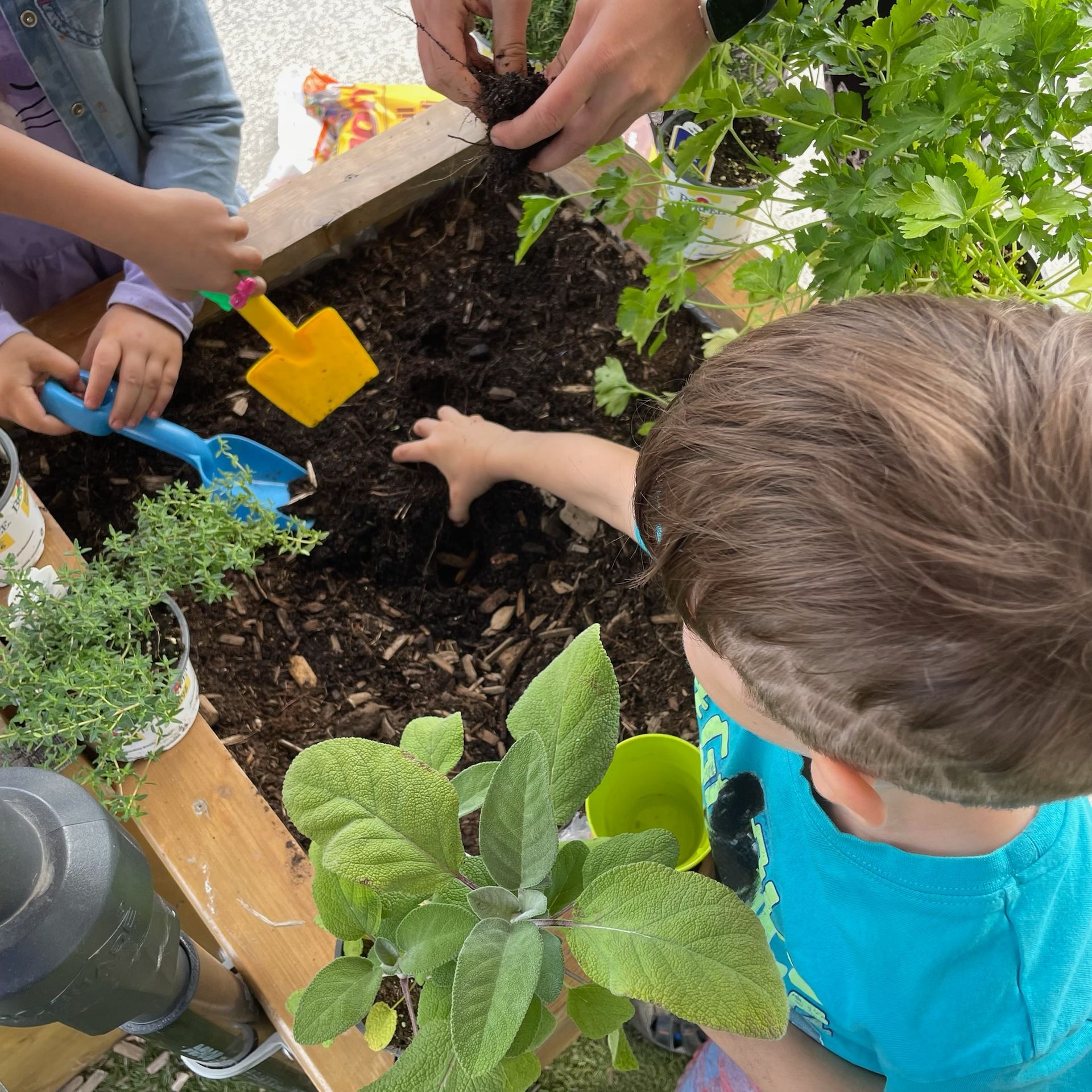 Children planting seedlings in a garden bed with tools and dark soil
