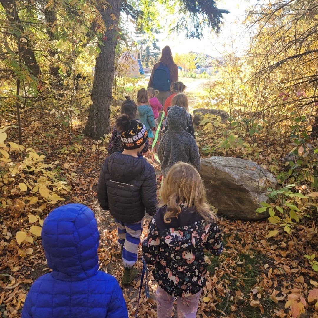 Children walking along a leafy forest path in autumn, viewed from behind