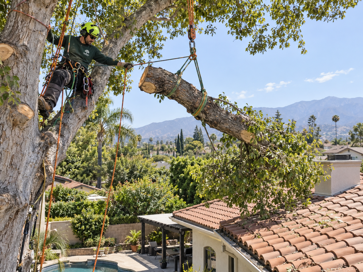 photographic scene of a certified climber in a West Covina backyard guiding a rigged limb away from a tile roof