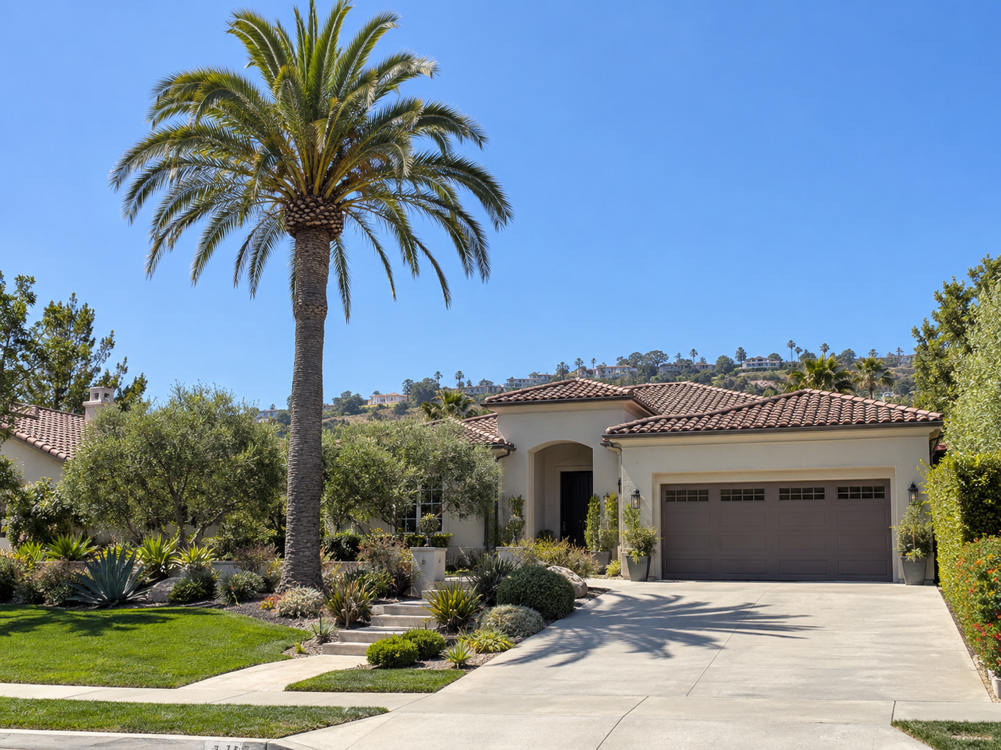 Tall palm tree near a Southern California home with a driveway and landscaped yard