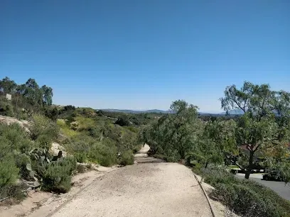 Tree Services West Covina-Dirt path winding downhill, lined with green shrubs and trees under a clear blue sky, conveying a serene and open atmosphere.
