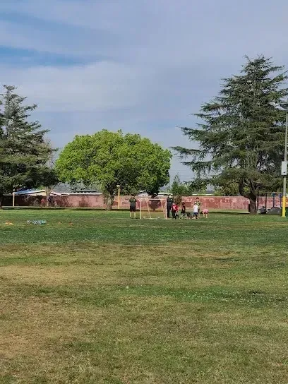 Tree Removal Service West Covina -People practice soccer on a grassy field with trees and a cloudy sky in the background.