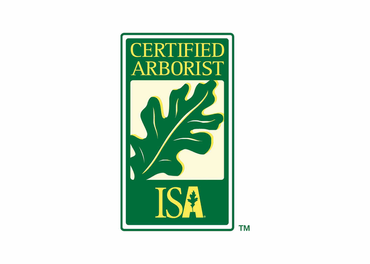 Tree Removal Service West Covina -Green and white