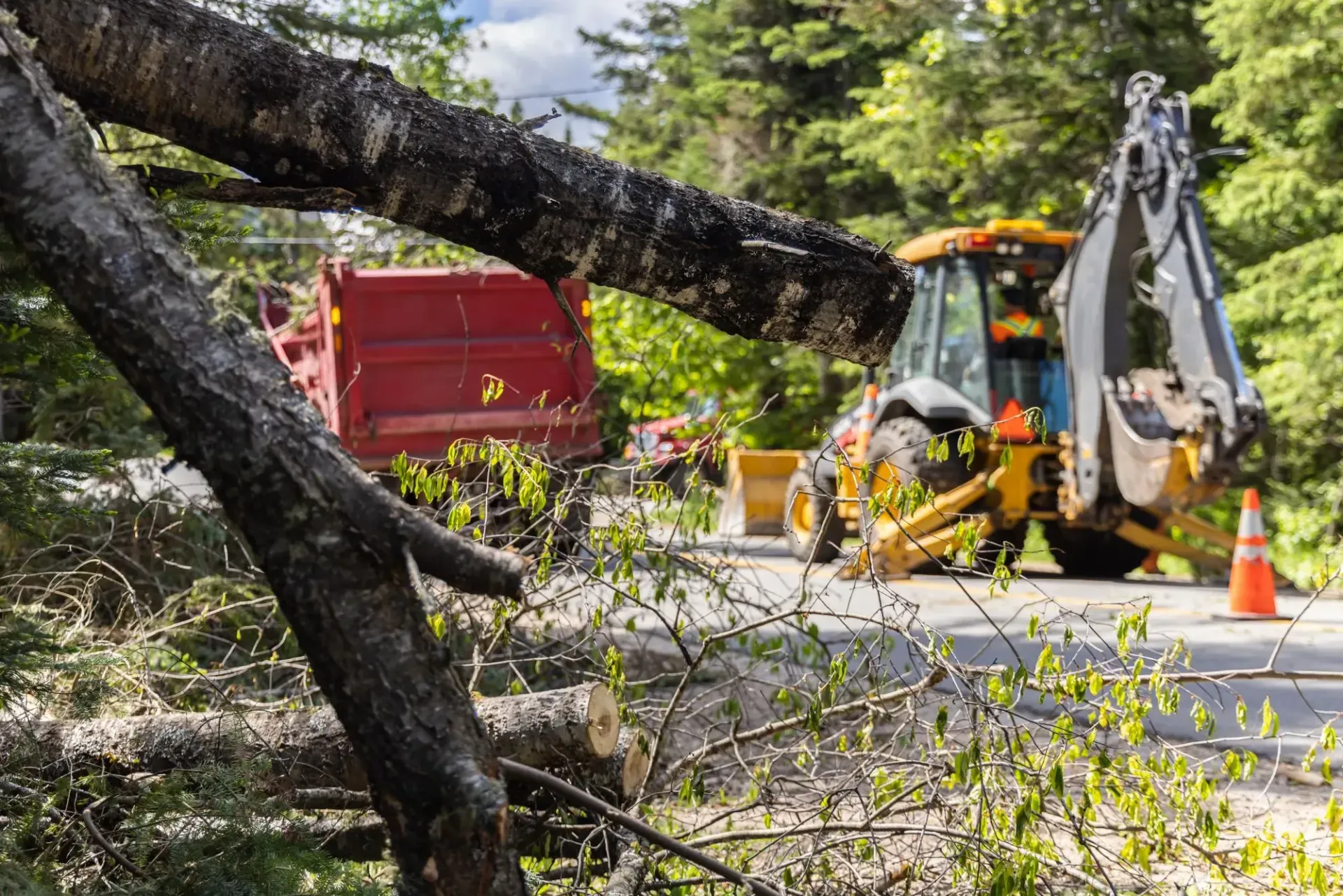 Tree Removal Service West Covina shows a roadside cleanup scene with large fallen tree branches in the foreground, while a worker operates heavy machinery near a red truck and orange safety cones in a wooded area