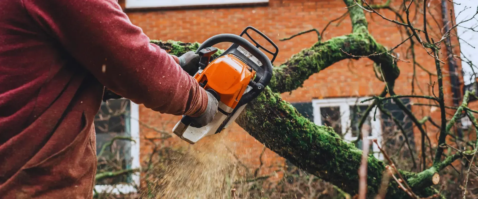 cutting the branch using chainsaw