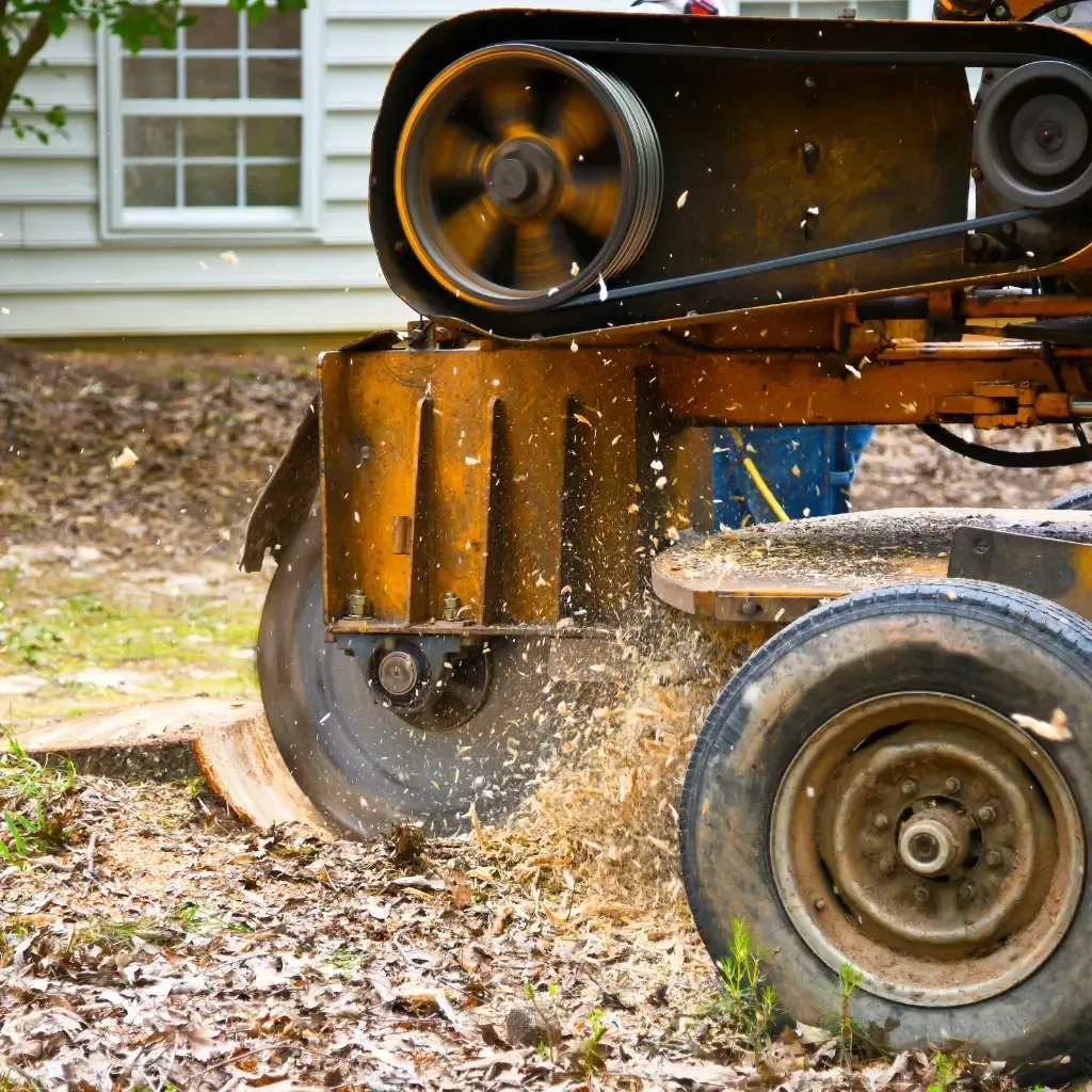 Tree Removal Service West Covina -Yellow stump grinder in use, wood chips flying, near a house.