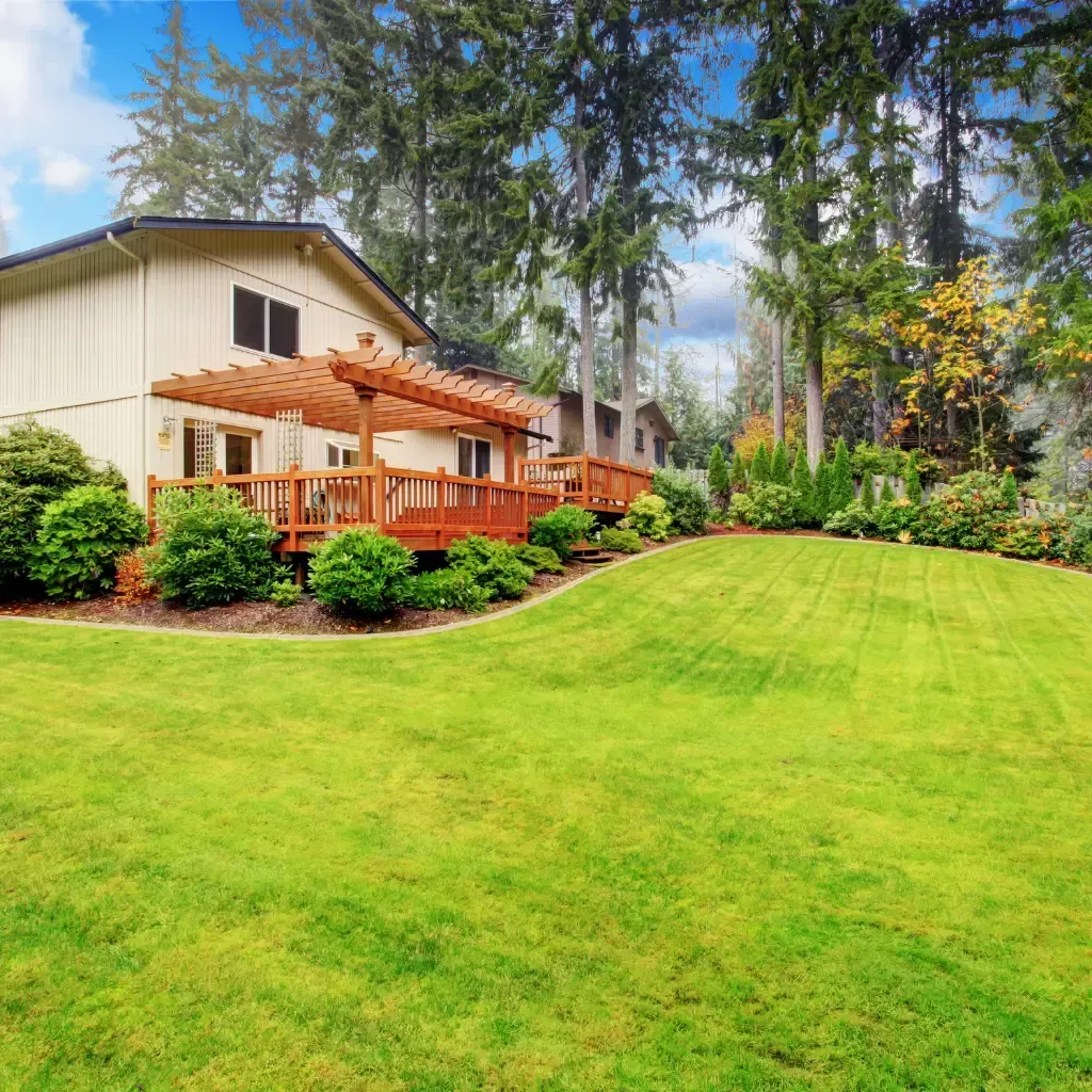 Tree Removal Service West Covina -A charming house with a wooden pergola sits behind a lush, green lawn. Tall trees and shrubs surround the yard, creating a serene and inviting atmosphere.