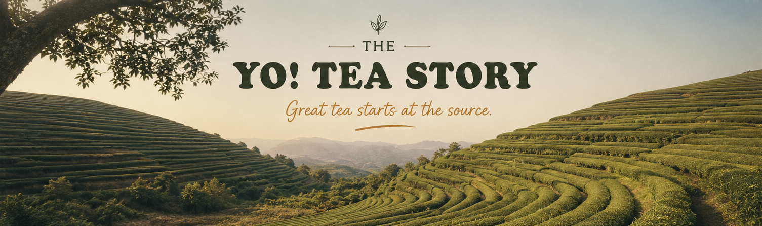 Logo reading “YO! TEA STORY” over a tea plantation landscape at sunset.