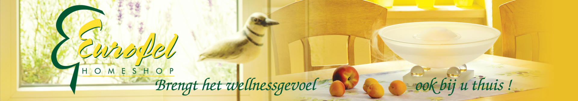 Deze afbeelding wordt op de Homepage getoond en laat het logo van Eurofel Homeshop zien.