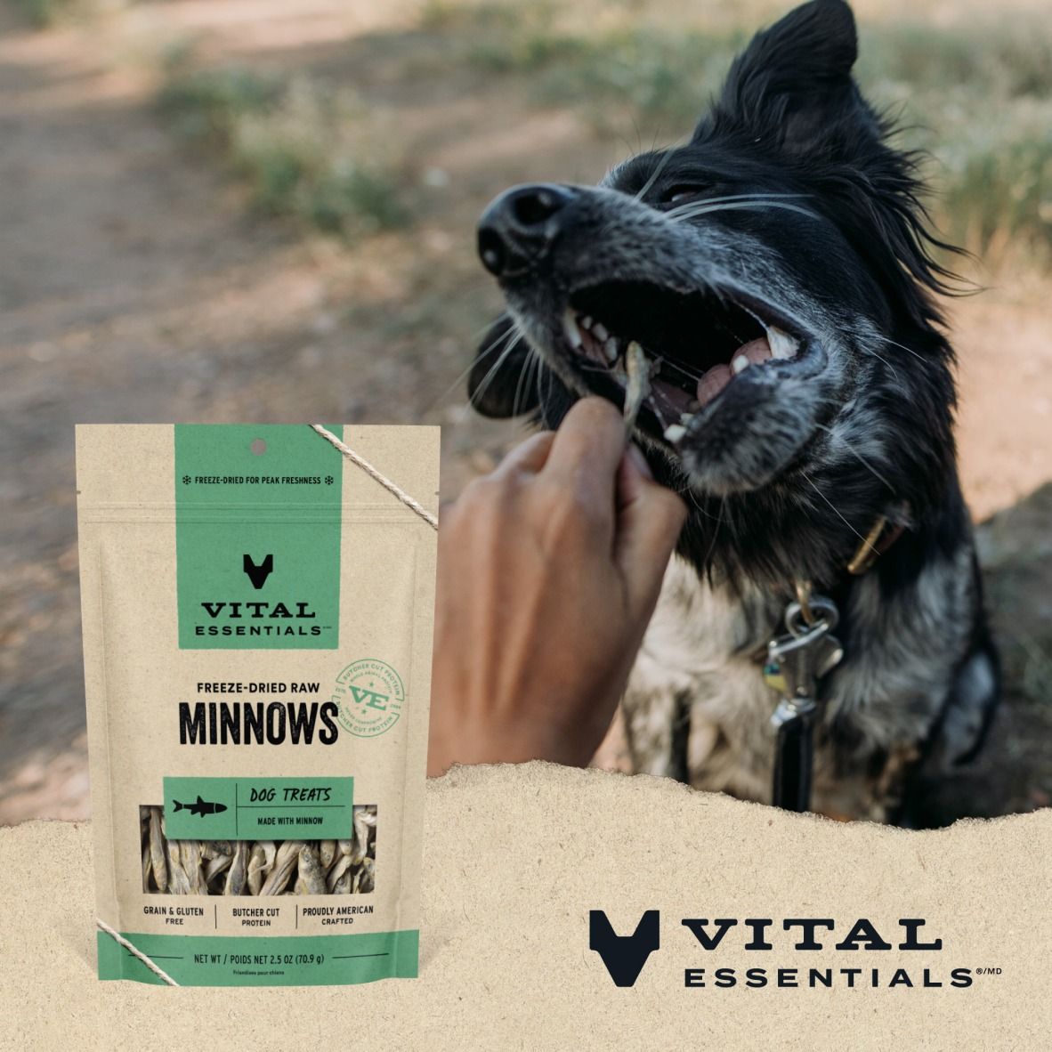 A bag of vital essentials minnows next to a dog