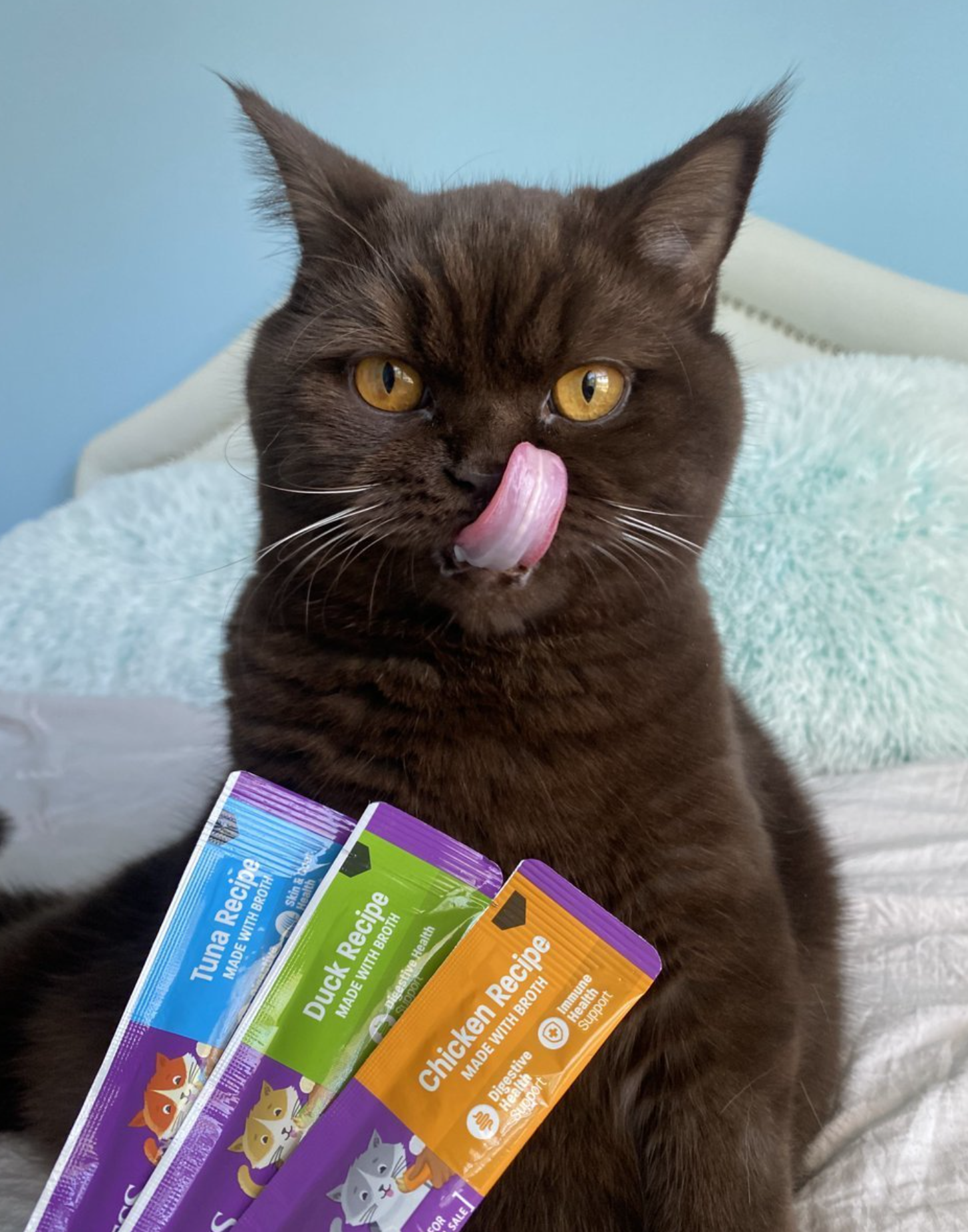 A cat is licking its nose while holding three packets of cat food