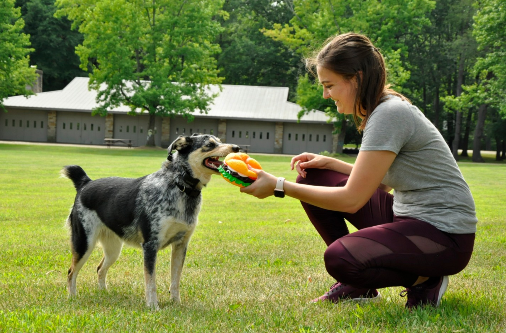 A woman is kneeling down next to a dog playing with a frisbee