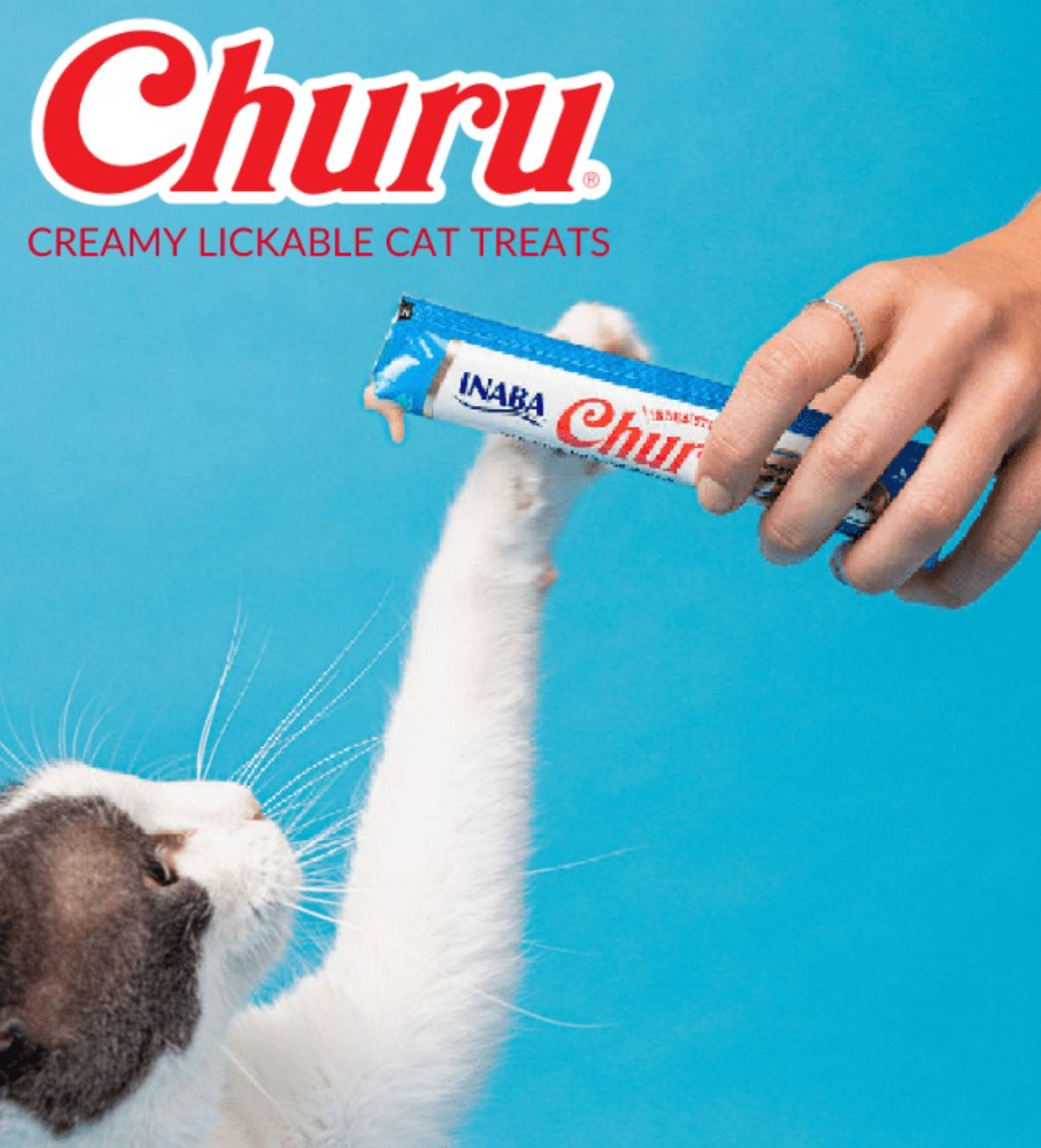 A person is feeding a cat a churu creamy lickable cat treat