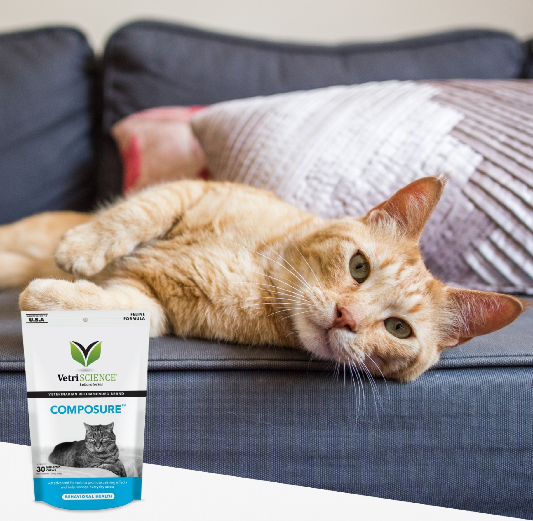 A cat laying on a couch next to a bag of cat food