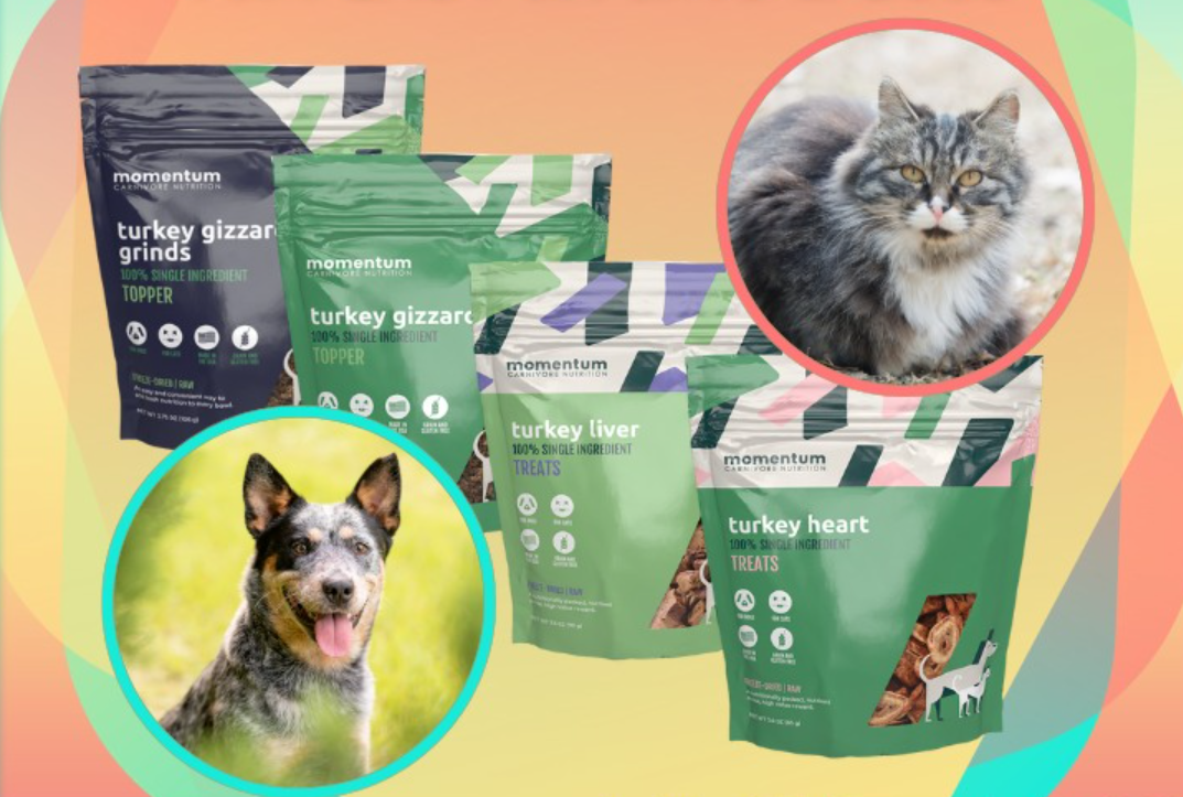 A dog and a cat are sitting next to bags of dog food.