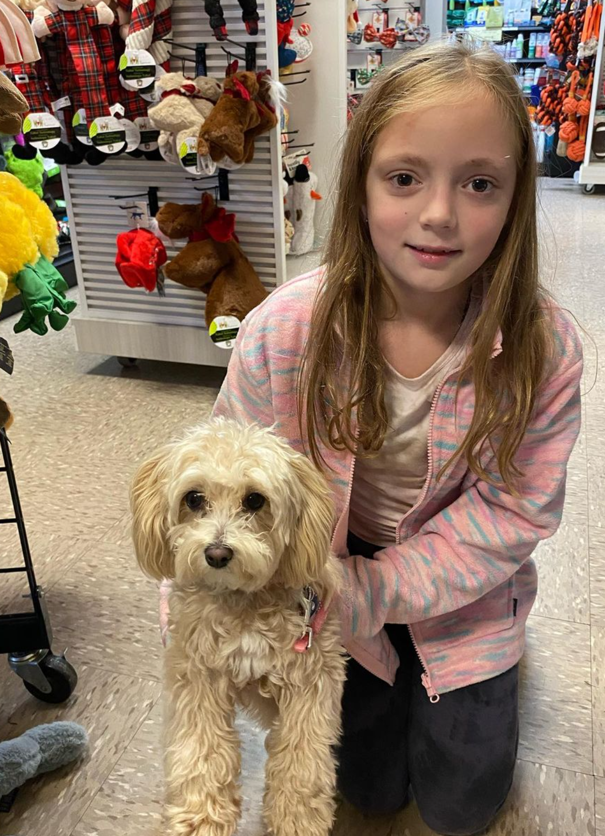 A little girl is kneeling down next to a small dog in a store
