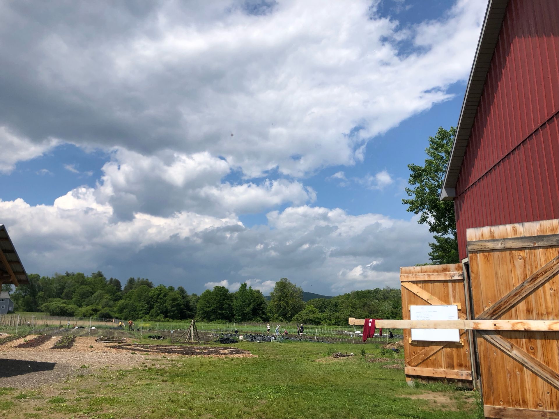 Grow Together: Team MBK's Day at the Farm