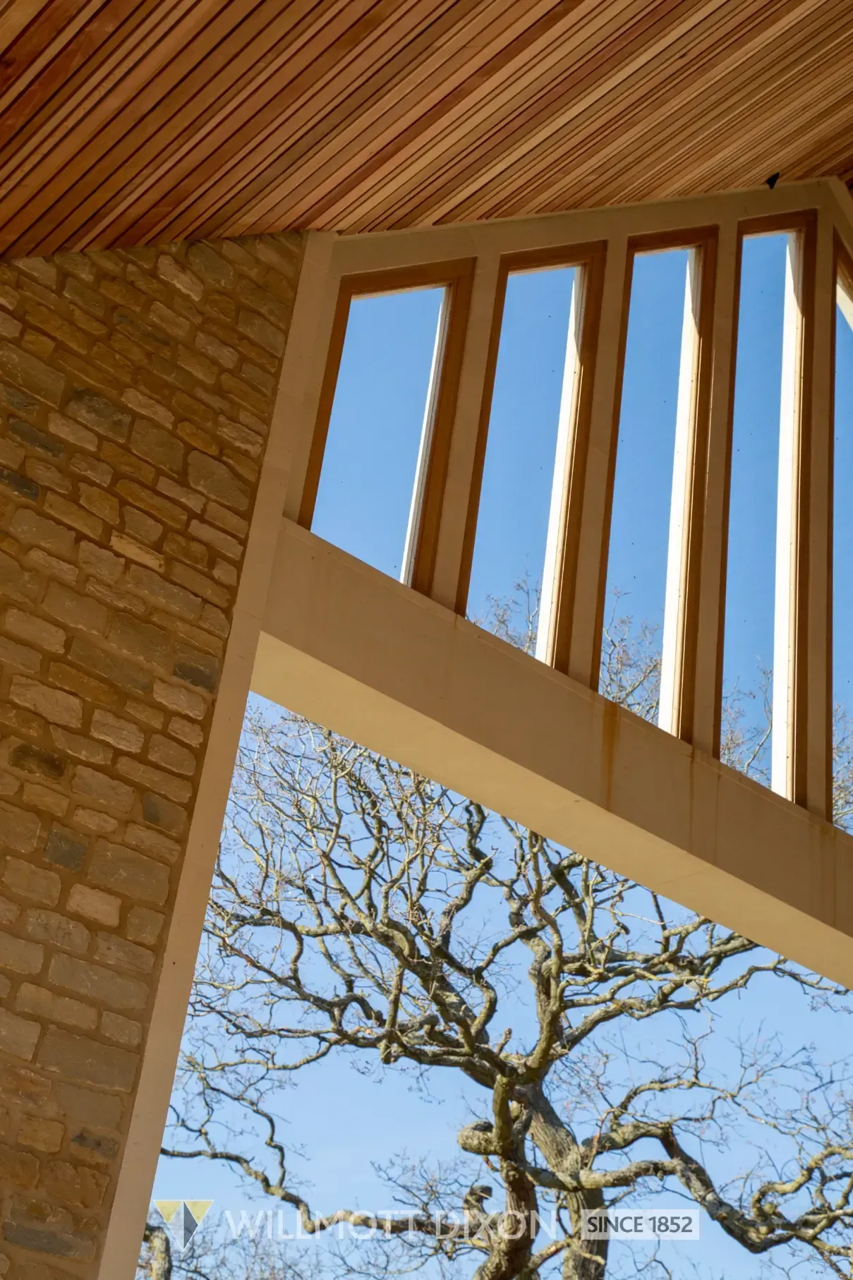 Wooden interior ceiling with tall windows framing a blue sky and bare tree branches
