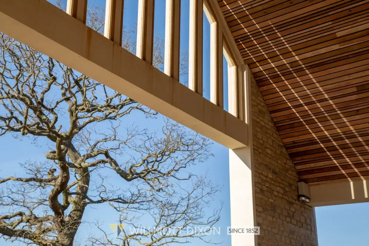 Modern building roof framing with slatted ceiling and bare tree branches against a blue sky