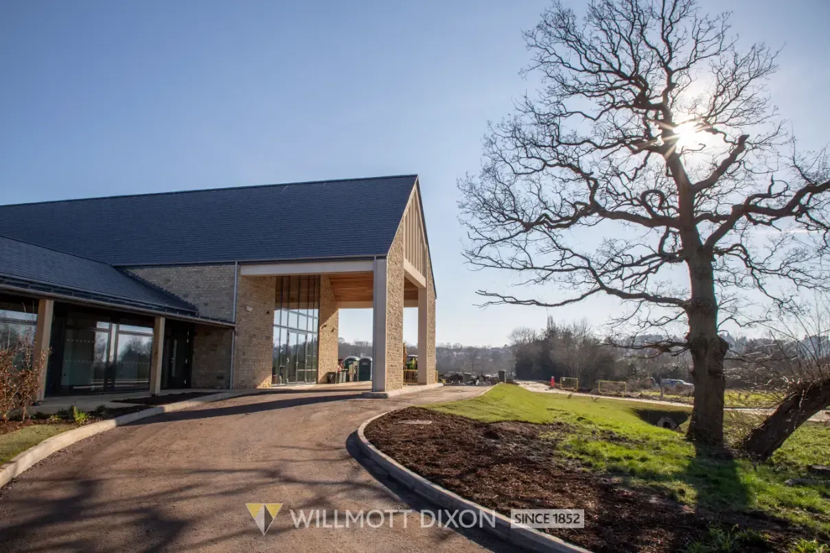 Modern house with a curved driveway beside a leafless tree in bright sunlight
