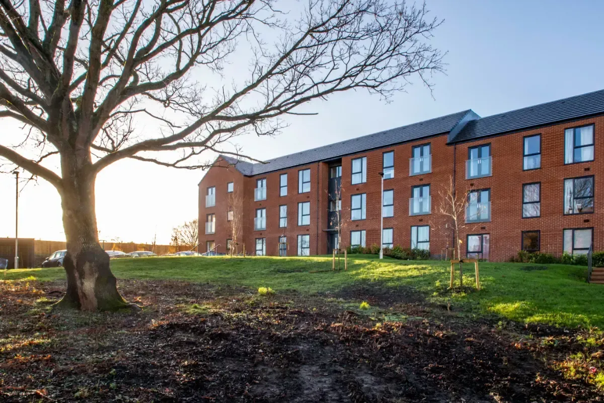 Brick apartment building beside a large leafless tree in a grassy yard at sunset