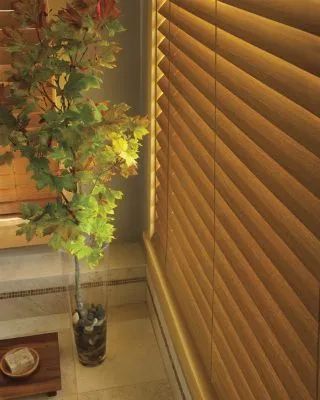 Eco-Friendly Window Treatments in St. Louis: Love is Blinds