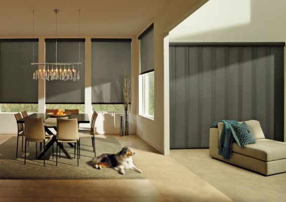 alta moderm room style