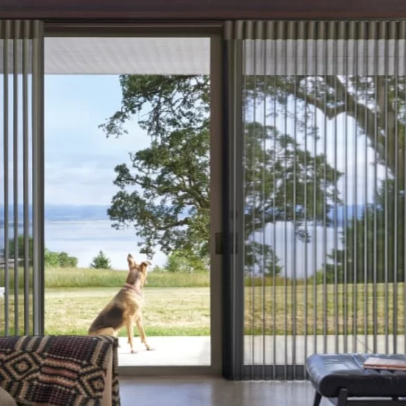 hunter douglas