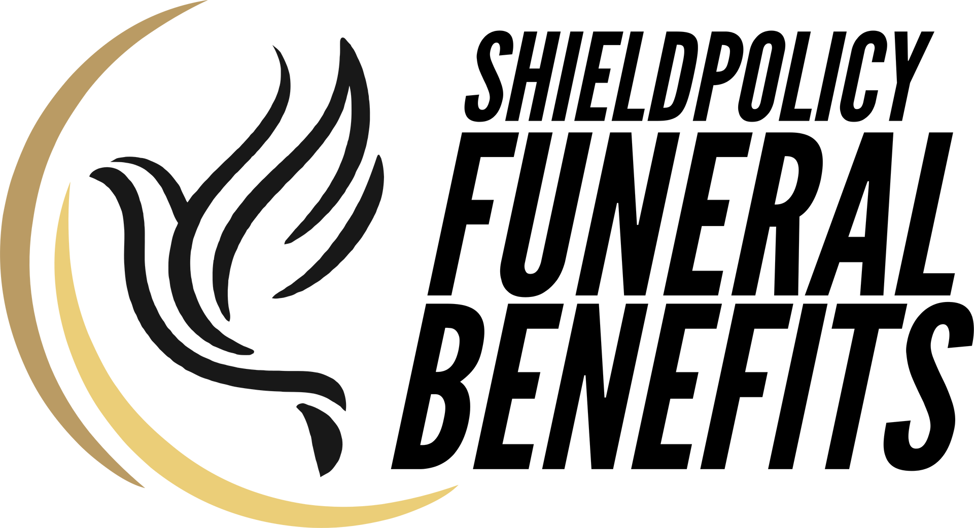 ShieldPolicy Logo