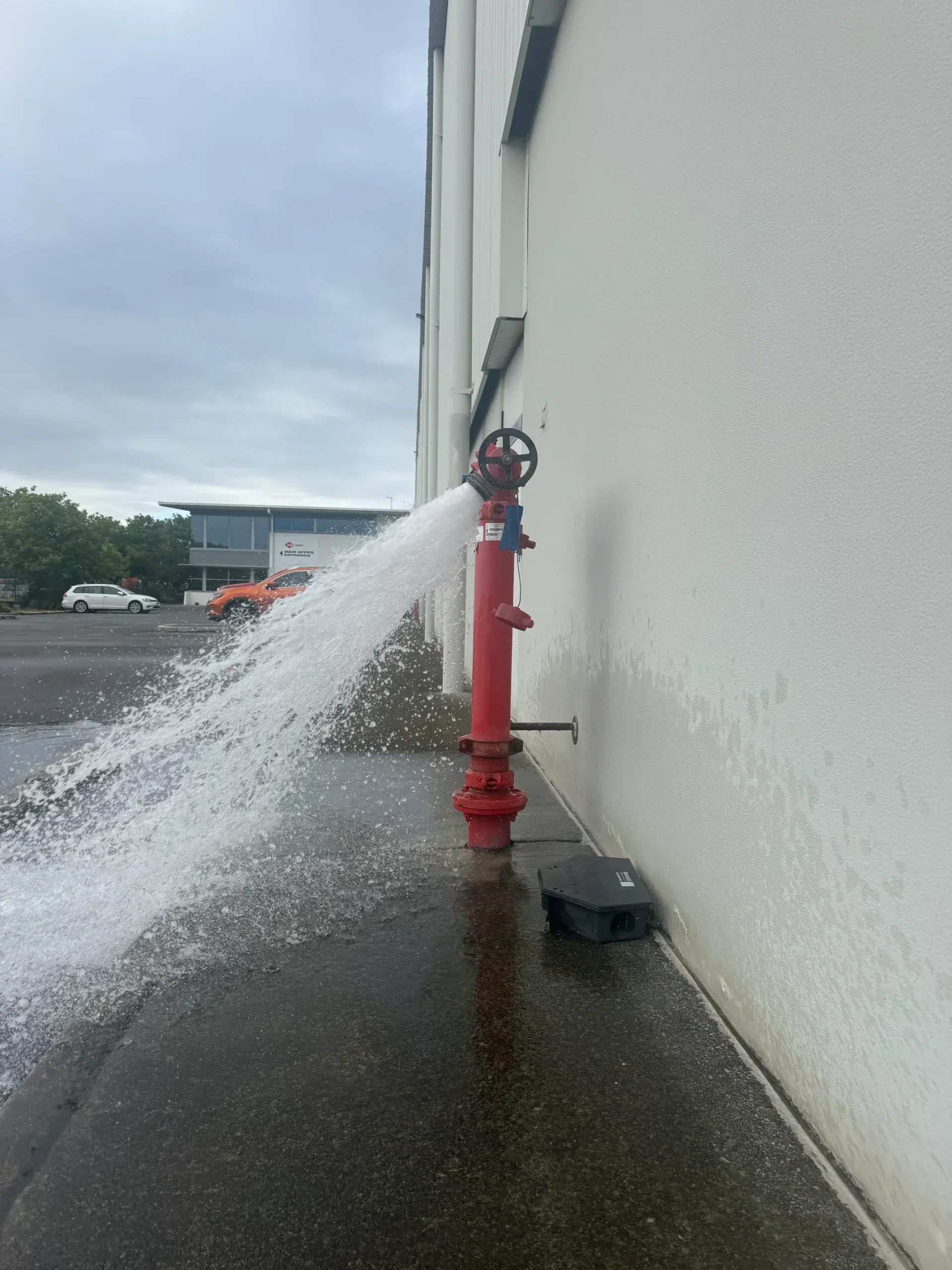 Red fire hydrant spraying water against a white building on a wet pavement. — Commercial Leak Detection